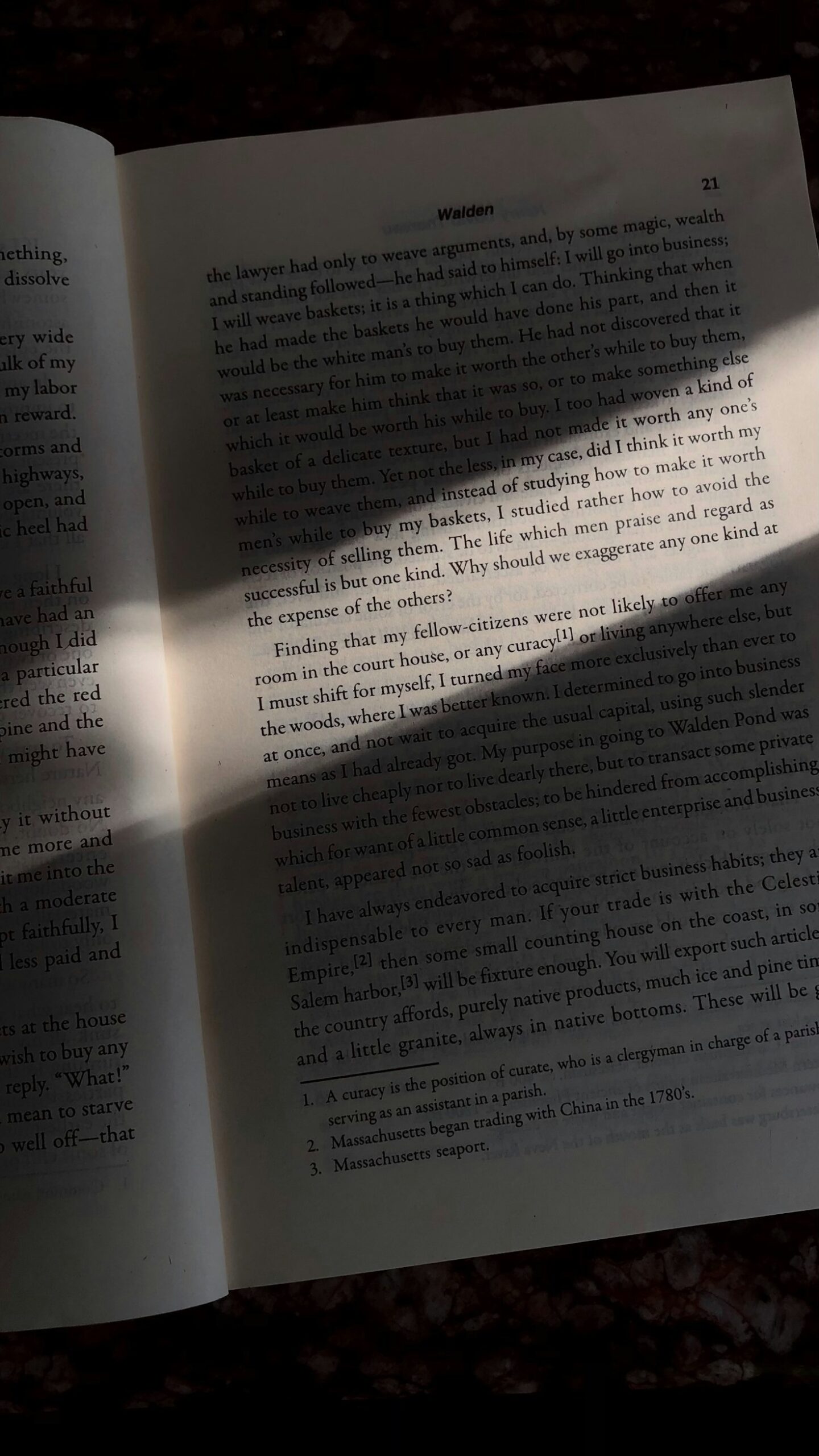 Exploring Rare and Unique Literary Gems